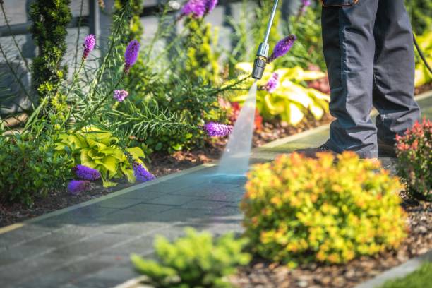 Best Spring Cleaning  in Clearlake Riviera, CA