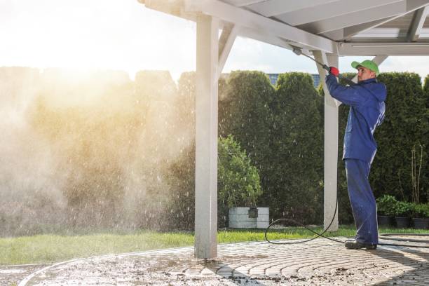 Best Soft Washing  in Clearlake Riviera, CA